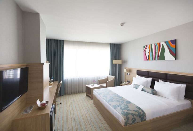 اتاق لوکس, Park Dedeman Elazığ