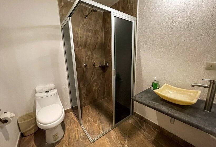 חדר סטנדרט, Vitorina