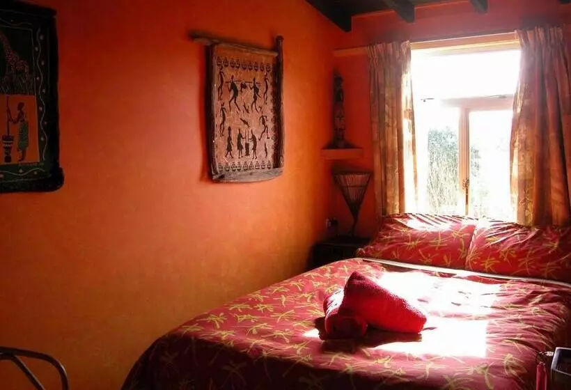 Basic-huone, Global Village Travellers Lodge