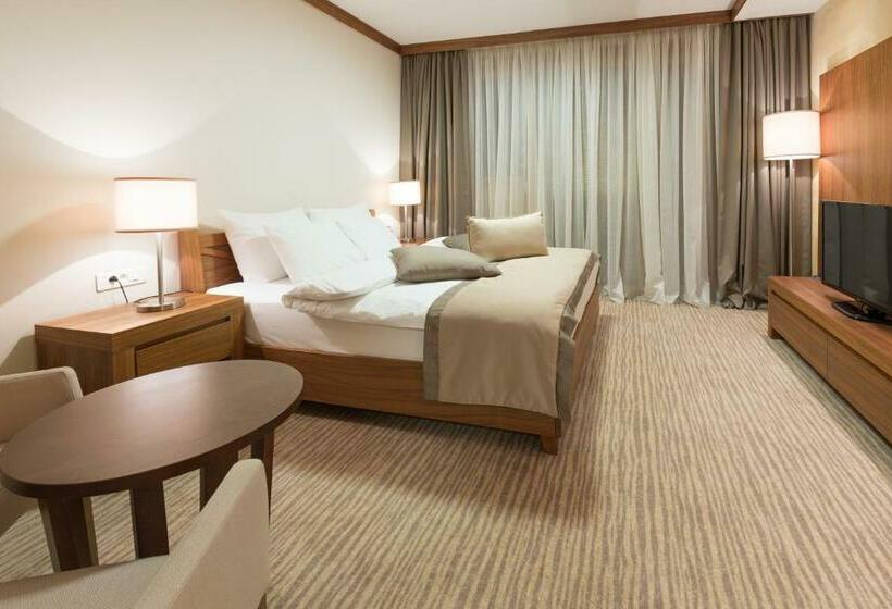 اتاق سوپریور, Aparthotel Vucko