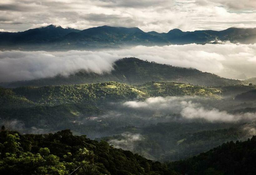 带山景的高级间, Yasmin Hill Longevity Resort   Former Galavilla Boutique Hotel & Spa