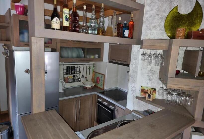 آپارتمان سوپریور 1 خوابه, Aparthotel Vucko