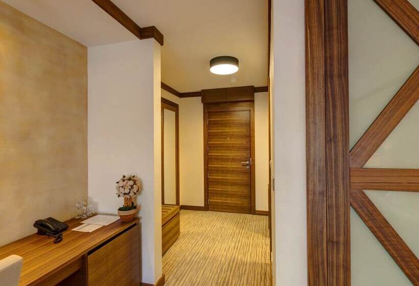 اتاق سوپریور, Aparthotel Vucko