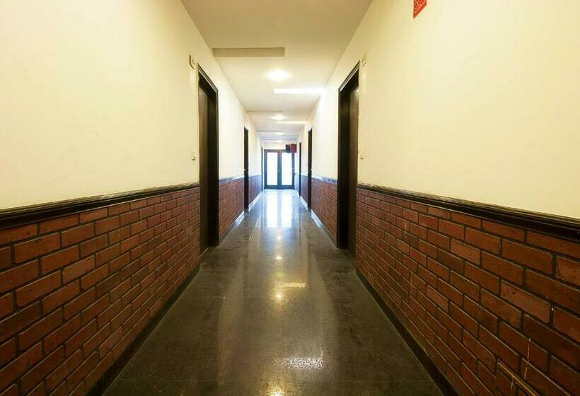 غرفة ديلوكس, Golden Leaf