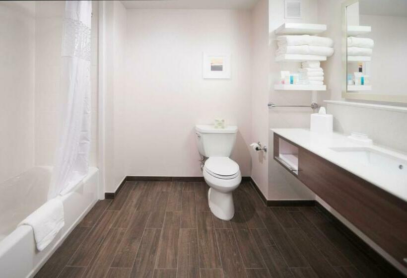 스탠다드 룸 킹사이즈 침대, Hampton Inn & Suites La Porte