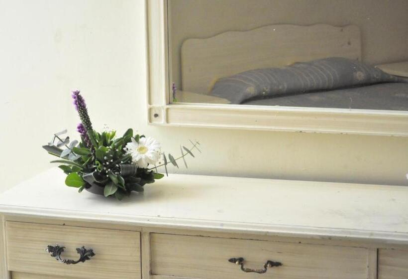 غرفة إقتصادية, Metropolitan I