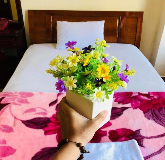 اتاق استاندارد, Star Binh Duong