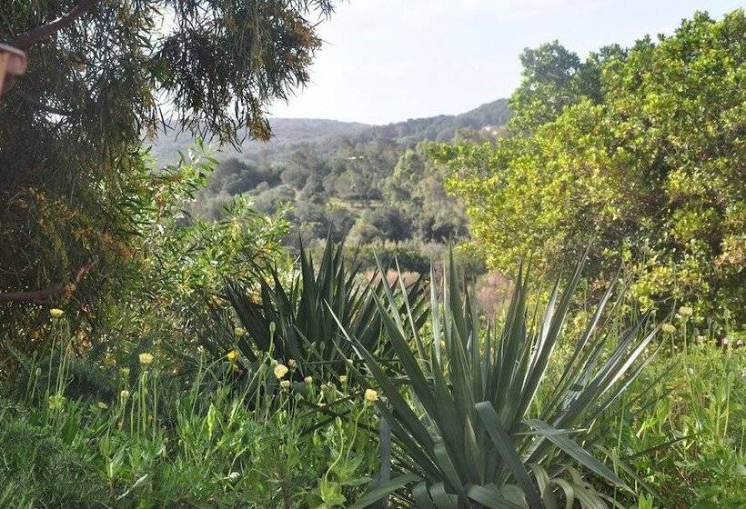 침실 4개 빌라, Résidence Maora Village