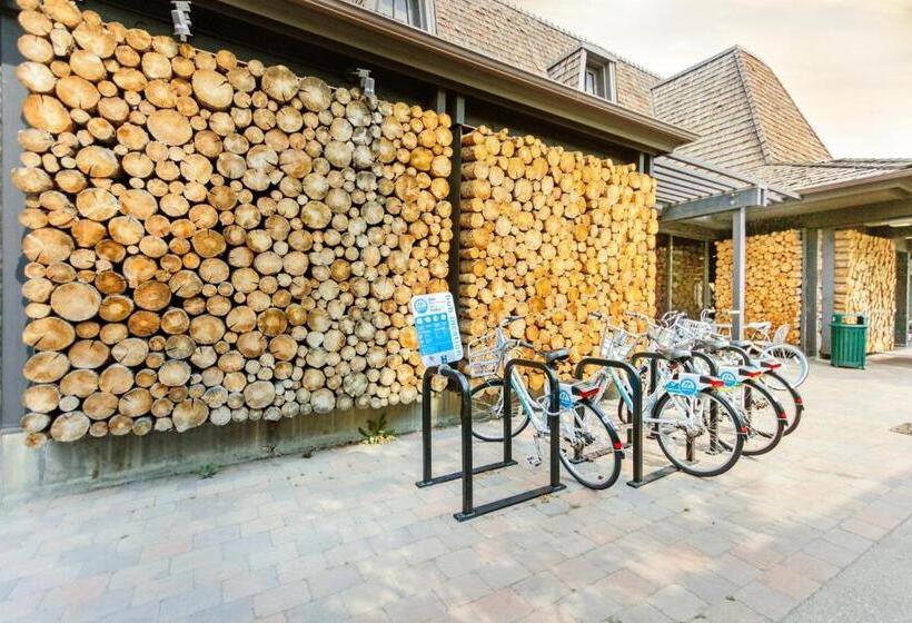 شقة غرفتين, Bridgepoint Condo On Trail Creek