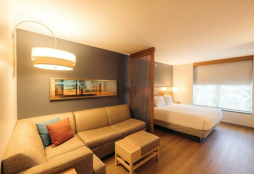 اتاق استاندارد با تخت بزرگ, Hyatt Place San Juan