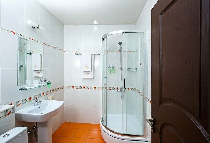 스탠다드 룸, Metropol