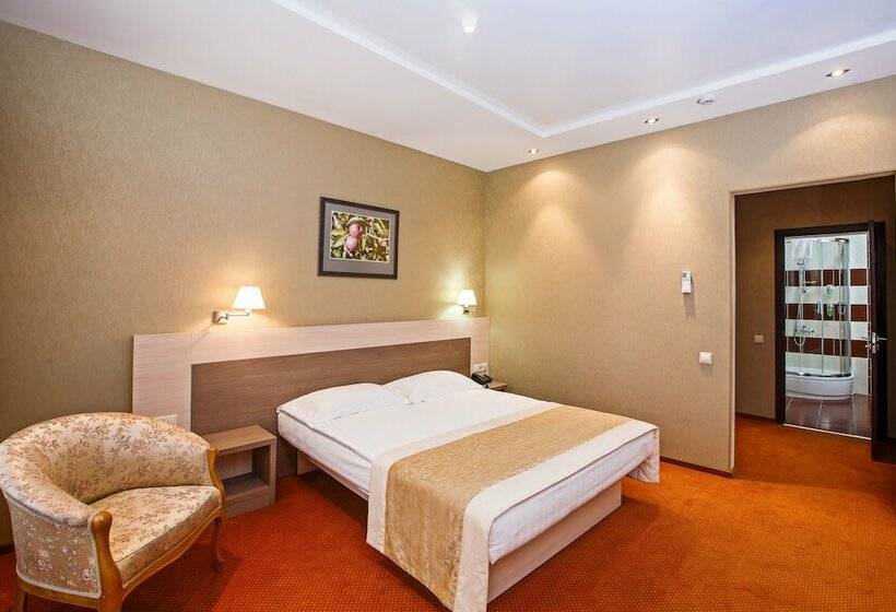 스탠다드 룸, Metropol