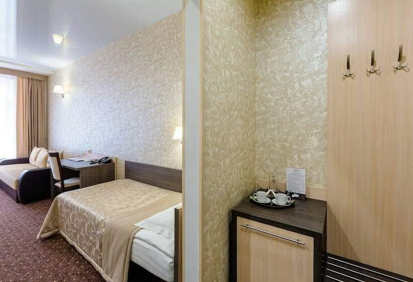 스탠다드 싱글 룸, Metropol