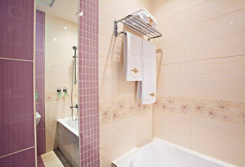 디럭스 룸, Metropol