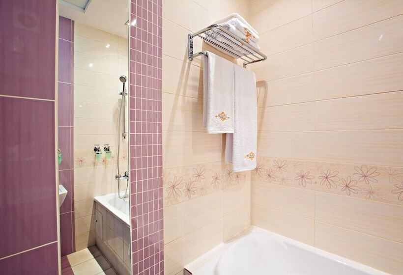 스탠다드 룸, Metropol