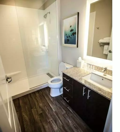 キングサイドベッドのスタンダードワンルーム, Towneplace Suites By Marriott Boynton Beach