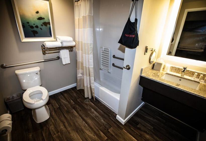 إستديو قياسى مزود بشرفة, Towneplace Suites By Marriott Boynton Beach