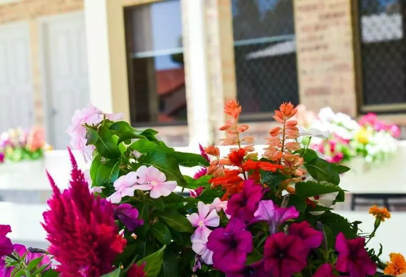 اتاق استاندارد یک تخته با تخت دونفره بزرگ, Golden Beach Motor Inn, Caloundra