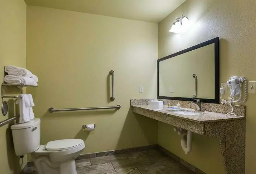 身障者適用キングサイズベッドルーム, Cobblestone Inn & Suites  Altamont