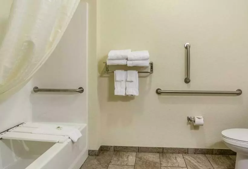 身障者適用キングサイズベッドルーム, Cobblestone Inn & Suites  Altamont