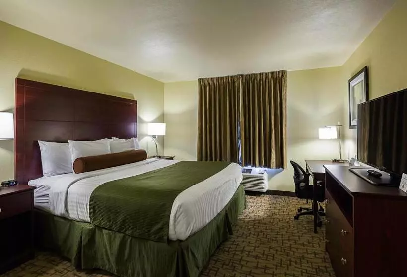 身障者適用キングサイズベッドルーム, Cobblestone Inn & Suites  Altamont