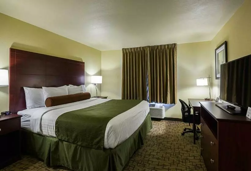 キングサイズベッドのスタンダードルーム, Cobblestone Inn & Suites  Altamont
