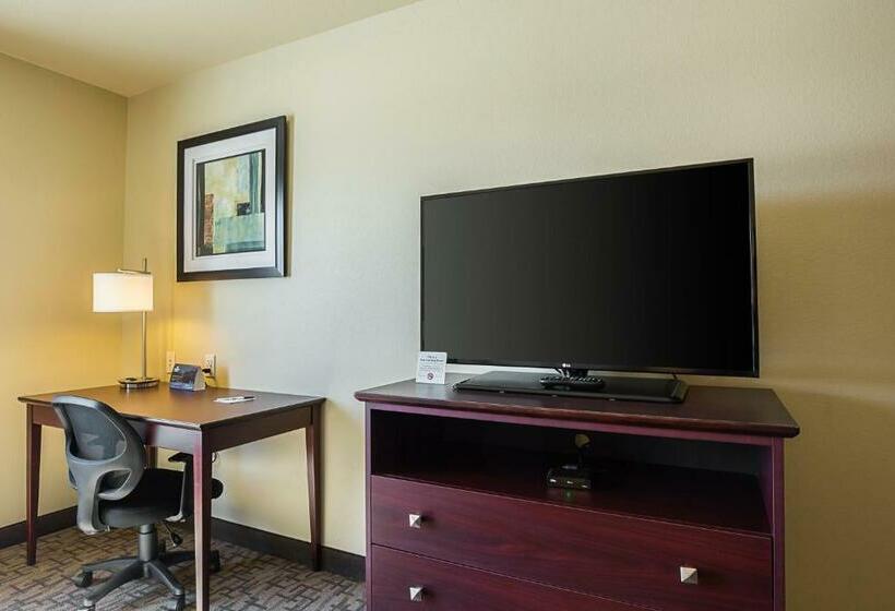חדר סטנדרט עם מיטת קינג, Cobblestone Inn & Suites  Altamont