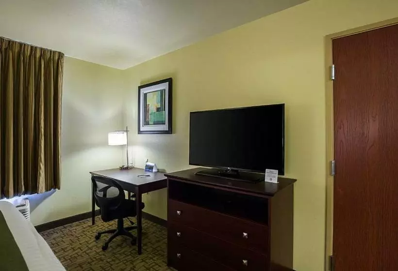 キングサイズベッドのスタンダードルーム, Cobblestone Inn & Suites  Altamont