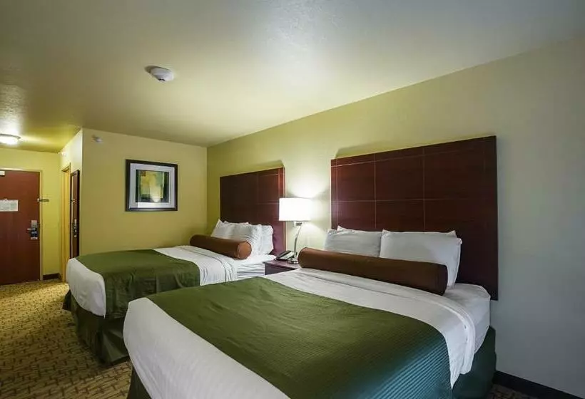 スタンダードルーム, Cobblestone Inn & Suites  Altamont
