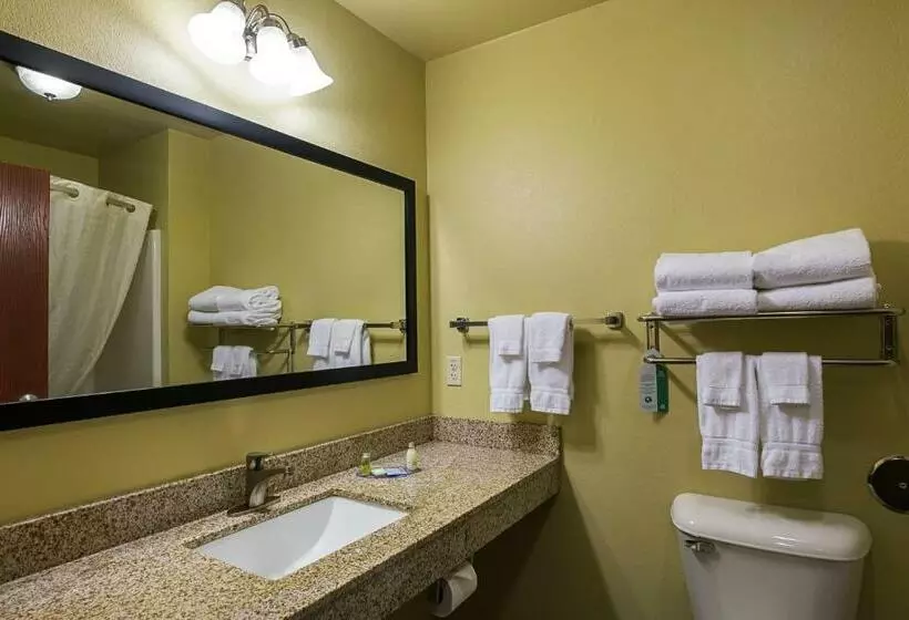 キングサイズベッドのスタンダードルーム, Cobblestone Inn & Suites  Altamont