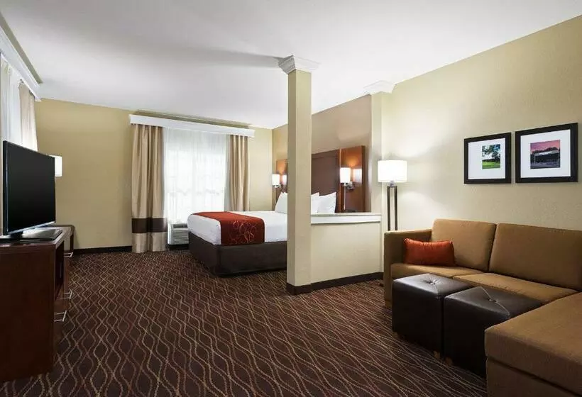 キングサイズベッドのスイートルーム, Comfort Suites Dubois