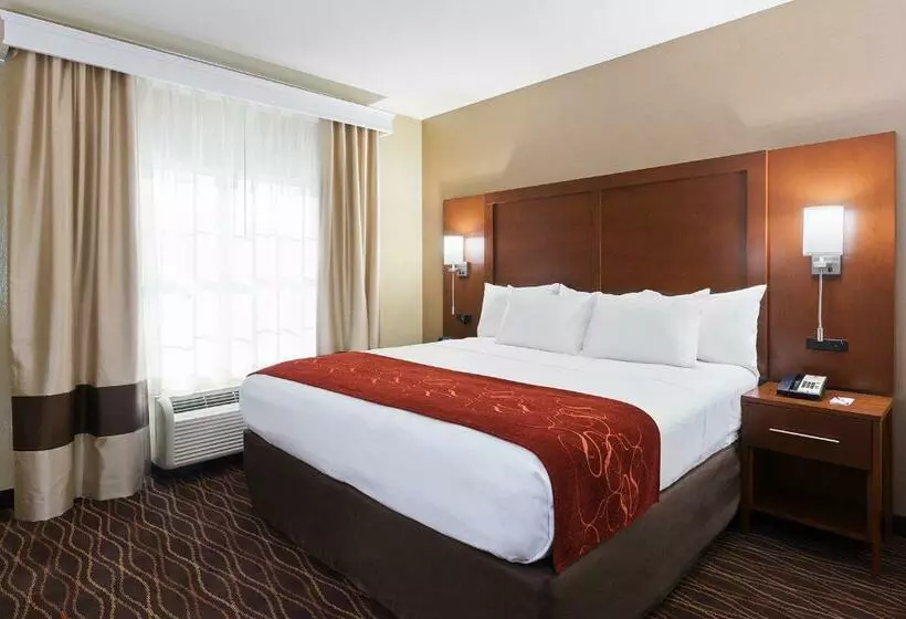 キングサイズベッドのスイートルーム, Comfort Suites Dubois