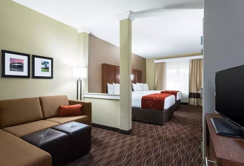 身障者適用スイートルーム, Comfort Suites Dubois