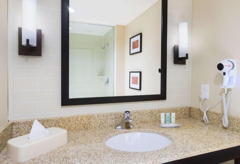 스위트 킹사이즈 침대, Comfort Suites Dubois