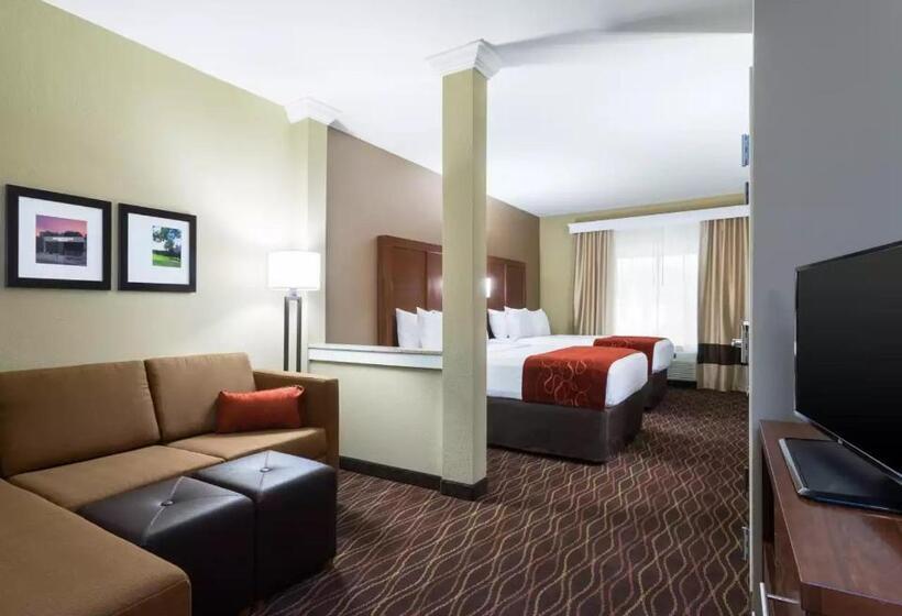 جناح لذوى الاحتياجات الخاصة, Comfort Suites Dubois