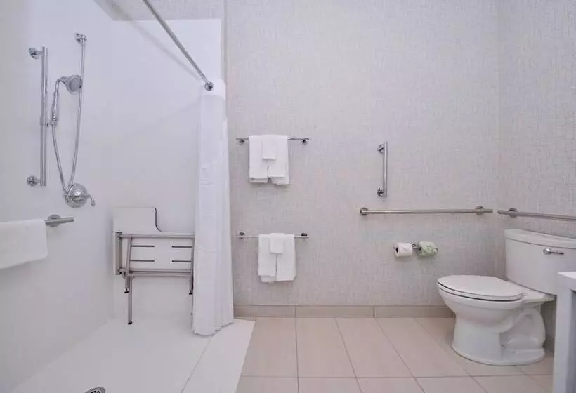 スイート, Holiday Inn Express & Suites Madison, An Ihg