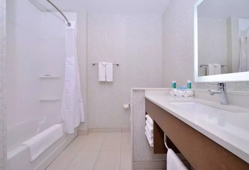 身障者適用スイートルーム, Holiday Inn Express & Suites Madison, An Ihg