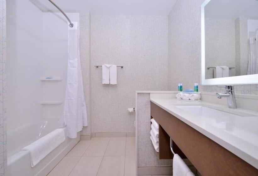 Номер Стандарт Адаптированный для Инвалидов, Holiday Inn Express & Suites Madison, An Ihg