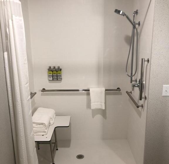 חדר סטנדרט, מיטת קינג, מותאם לאדם עם מוגבלויות, Holiday Inn Express & Suites Madison, An Ihg