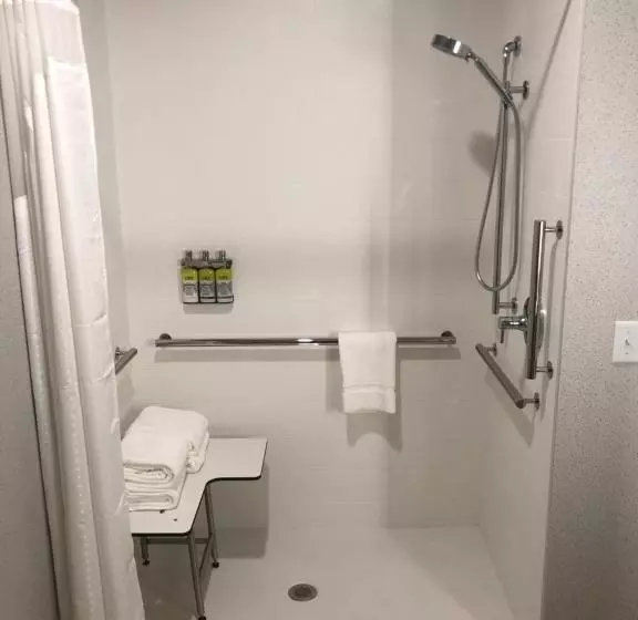 身障者適用キングサイズベッドルーム, Holiday Inn Express & Suites Madison, An Ihg