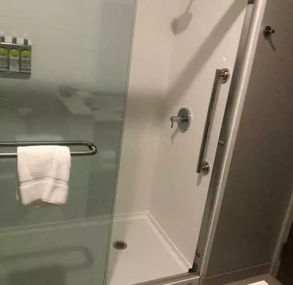 キングサイズベッドのスイートルーム, Holiday Inn Express & Suites Madison, An Ihg