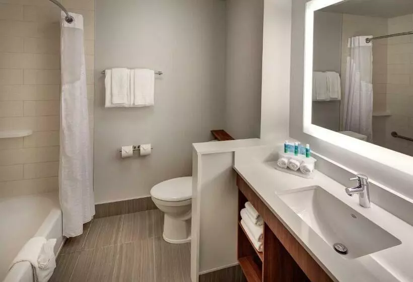スタンダードルーム, Holiday Inn Express & Suites Terrace, An Ihg