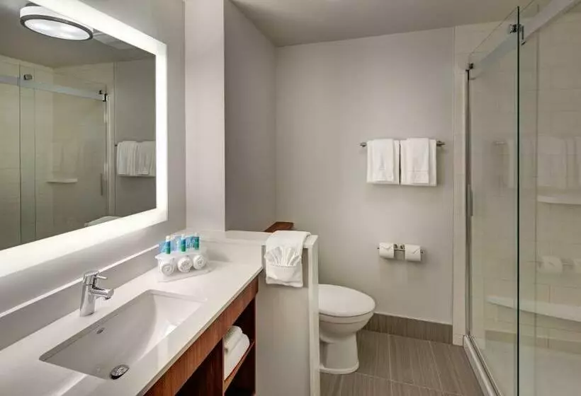 スイート, Holiday Inn Express & Suites Terrace, An Ihg