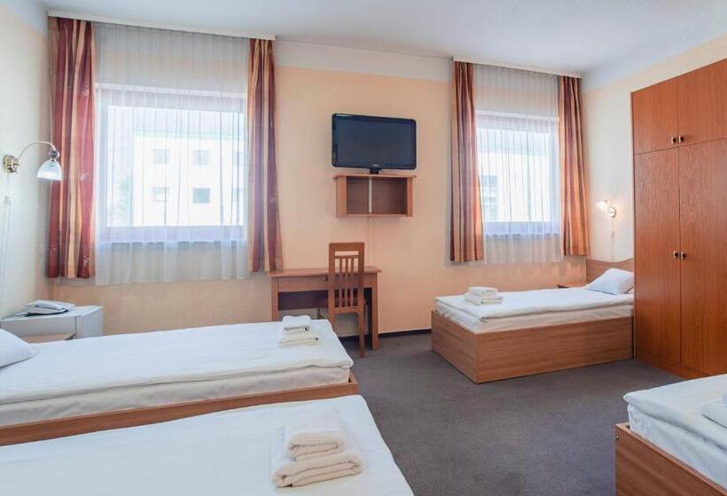 اتاق استاندارد چهار تخته, Homoky S Bestline