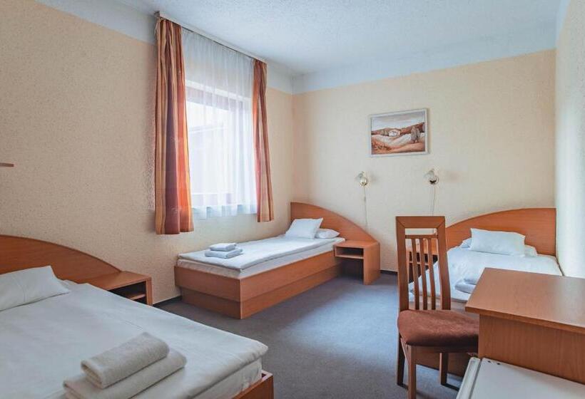 اتاق استاندارد سه نفره, Homoky S Bestline