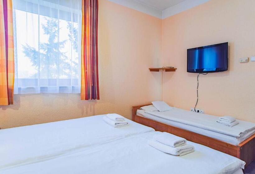 اتاق استاندارد سه نفره, Homoky S Bestline