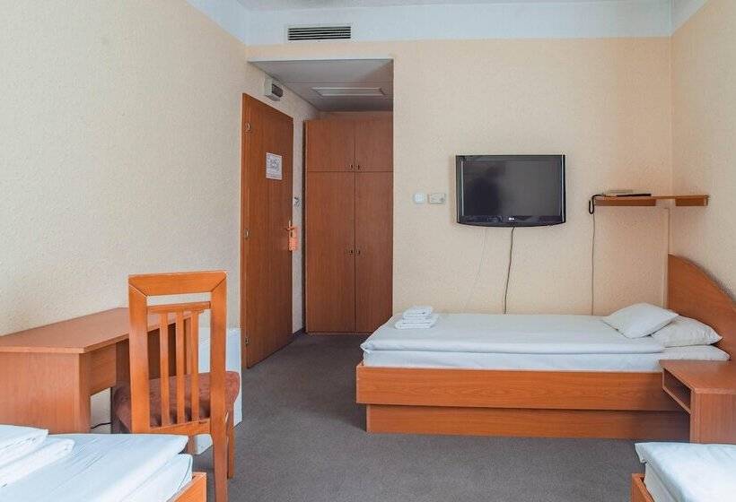 اتاق استاندارد سه نفره, Homoky S Bestline