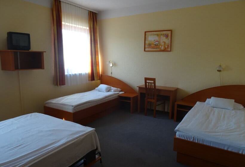 اتاق استاندارد چهار تخته, Homoky S Bestline