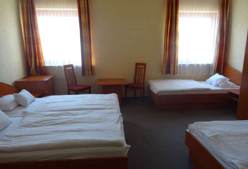 اتاق استاندارد چهار تخته, Homoky S Bestline