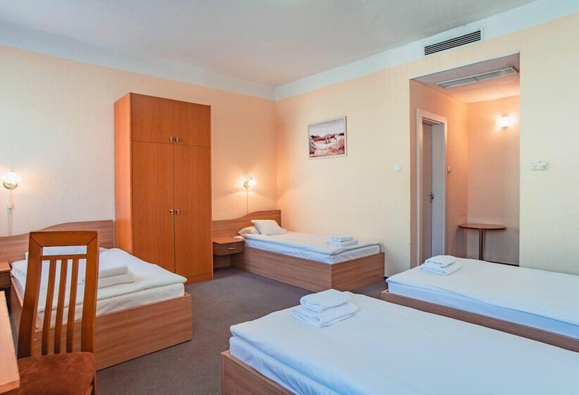 اتاق استاندارد چهار تخته, Homoky S Bestline